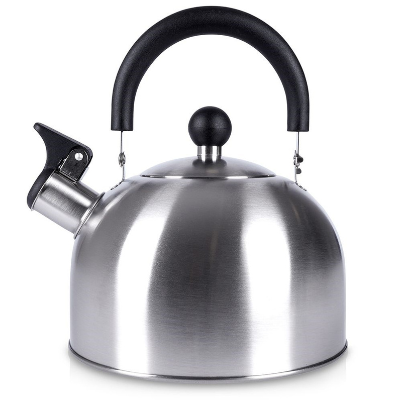 ORION Steel kettle with a whistle induction 2L