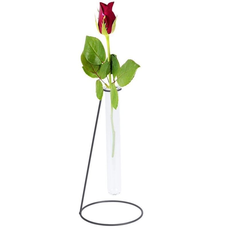 Blumenvase Glasvase Reagenzglas + schwarzes Metallgestell für Blumen Dekorationen 23 cm